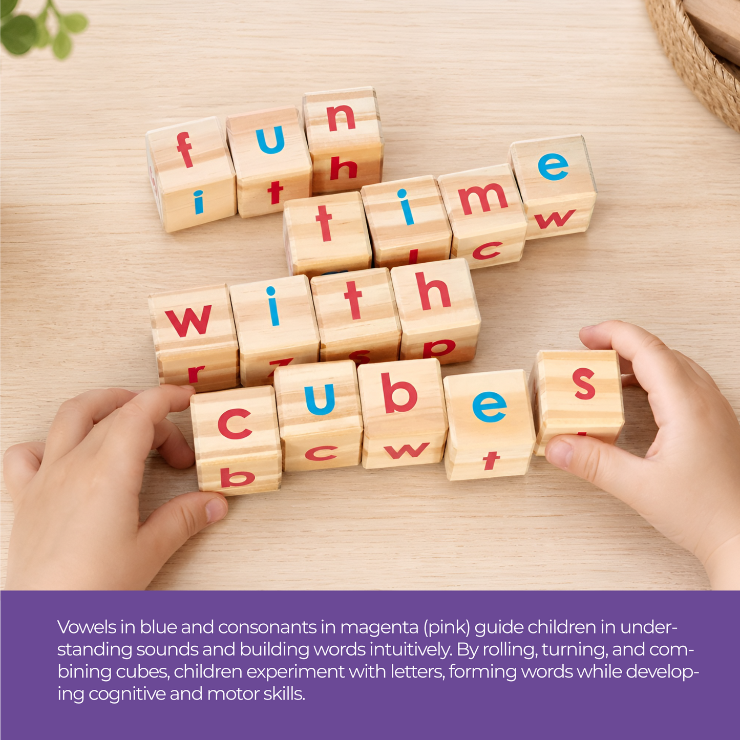 Cube’s 36mm Montessori inspired, (Print) x24, wooden tray