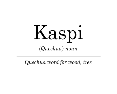 Kaspi Definition